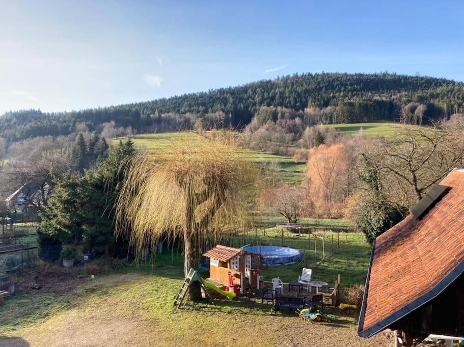 Logement Chaleureux, Vallee De Ville Steige ภายนอก รูปภาพ
