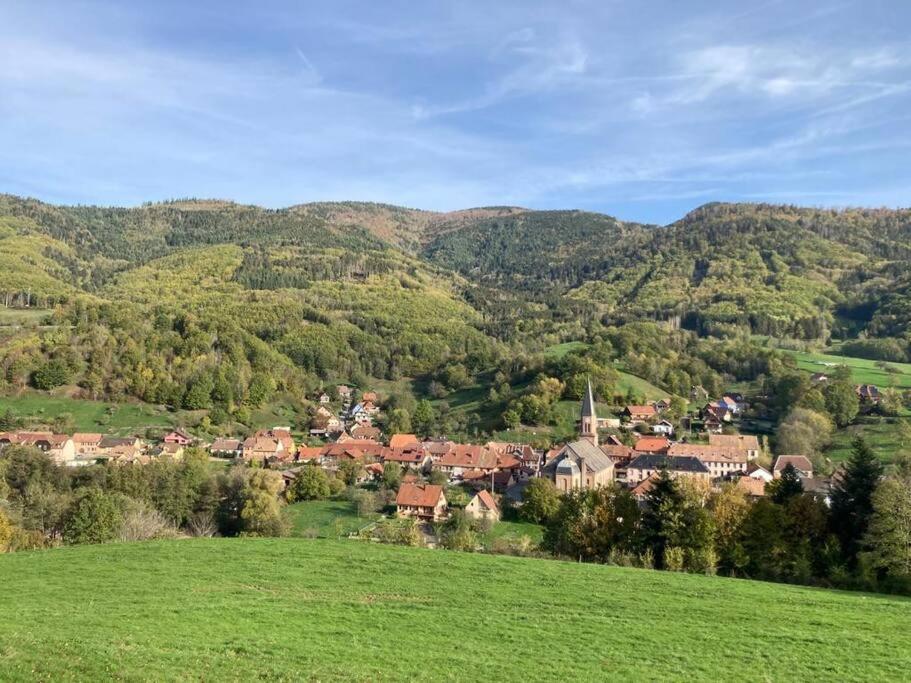 Logement Chaleureux, Vallee De Ville Steige ภายนอก รูปภาพ
